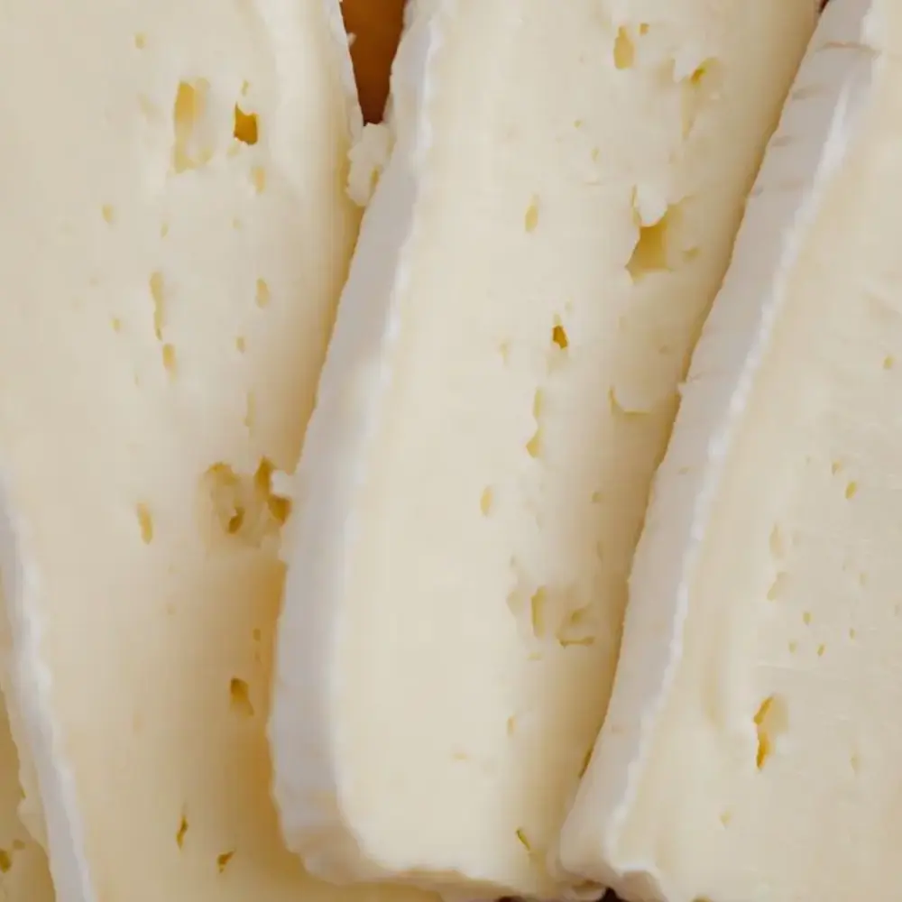 Contenu du kit fromage brie : ferments, présure, moules, nattes