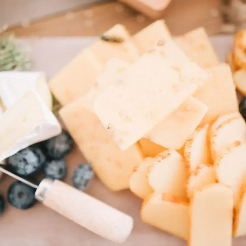 Contenu du kit fromage chèvre : ferments lactiques, faisselles