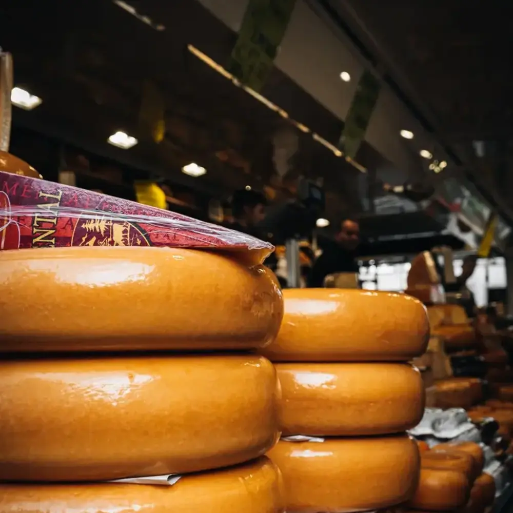 Kit fromage comté maison